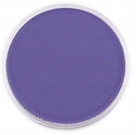 PanPastel Violet Shade 9ml