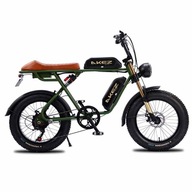 AKEZ S2 E-bike 20 palcový 750W 48V 13AH 45KM/H Zelená