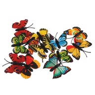 Akcia 12 kusov viacfarebného motýľa