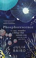 Phosphorescence: On Awe, Wonder & Things