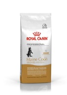 Royal Canin Pro Kitten Maine Coon 14kg dla kociąt