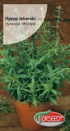 semená Hyzop lekársky Hyssopus officinalis 0,2g