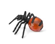 Mrówka miododajna /Collecta