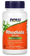 NOW Foods - Rhodiola / Rozchodnica ružová | 500 mg | 60 kaps. | ADAPTOGEN