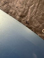 cofano CITROEN C3 KMYD