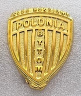 POLONIA BYTOM hokej złota pin