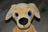 pluszak maskotka biszkoptowy pies piesek duże oczy