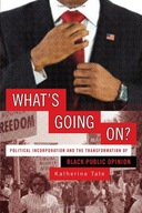 What s Going On?: Political Incorporation and the
