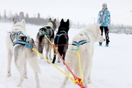 LINA ZAPRZĘGOWA MANMAT - LINA OGONOWA 100cm