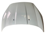 FORD FIESTA MK7 LIFT 2012-2017 bonnet front BOHAY BAY MINT