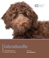 Labradoodle - Dog Expert SARAH ROGERS