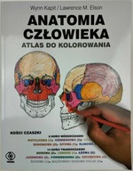 Anatomia człowieka. Atlas do kolorowania Lawrence M. Elson