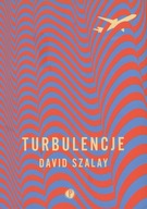 Turbulencje - David Szalay