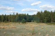 Działka, Sokule, Wiskitki (gm.), 1214 m²