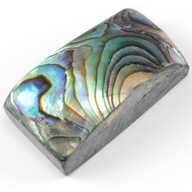 Paua Abalone kabošon cca 27x14 mm PERL0272