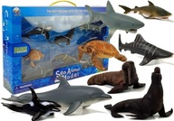 Vzdelávacie figúrky Morské Zvieratá 8 Prvkov Žraloky Tulene Delfín