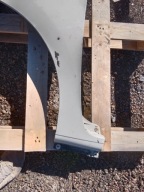 fender left front RENAULT KANGOO III