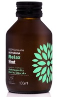 Kombucha BIO Probiotikum Relax Shot 100ml