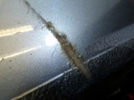 fender left front HONDA CIVIC 8 VIII sedan