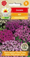 Plachta Mix Farebné okraje a skalky vo vašej záhrade semená TRVALKA