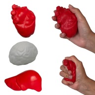 Antistres - ľudské orgány - srdce, mozog, pečeň - hniloba z peny