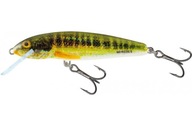 Salmo Wobler Minnow 6cm 6g Holo Real Minnow Tonący