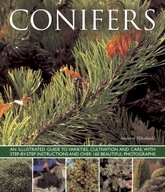 Conifers Mikolajski Andrew