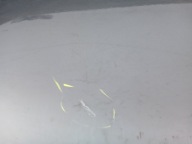 Tür links hinten BMW E60 PLATINGRAU