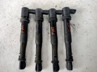 FIAT STILO 1.6 coil ignition BAE403B