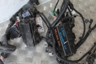 MODULE FUSIBLES NISSAN MICRA V 5 K14