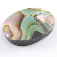 Paua Abalone kabošon cca 22x14 mm PERL0212