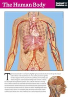 The Human Body: The Instant Guide Guides Instant