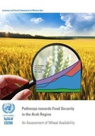 Pathways towards food security in the Arab