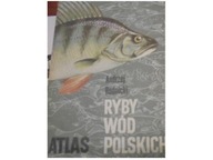 RYBY WÓD POLSKICH - ATLAS - Andrzej Rudnicki