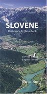 Slovene-English / English-Slovene Dictionary