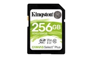 Karta Canvas Select Plus 256 GB