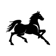 AUTÓMATRICA AUTÓRA, ABLAKRA - FUTÓ LÓ