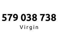 579-038-738 | Starter Virgin (03 87 38) #C