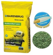 Trawa nasiona Barenbrug Resilient Blue 5kg uniwersalna ROZŁOGOWA+instrukcja