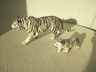 Schleich Tygrys biały + młode 14731 14732