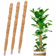 Ekologiczny naturalny Palik Kokosowy 60 cm - Podpora do Roślin x 3 szt