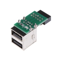 2 Dual USB 2.0 female to 9-pin