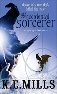 The Accidental Sorcerer: Book 1 of the Rogue