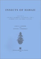 Insects of Hawaii 16; Hawaiian Carabidae