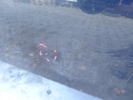PEUGEOT 508 door left left front KGNC