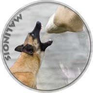 Samolepka na auto - Belgický ovčák Malinois
