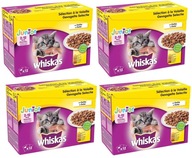 WHISKAS Junior 48x100g drobiowa uczta mokra karma dla kociąt w galaretce