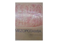 Mezopotamia - inny