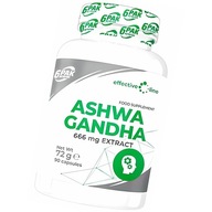 6PAK ASHWAGANDHA ASHWAGANDA EXTRAKT 666mg ŽENŠEN INDIÁNSKY STRES 90 KAPS