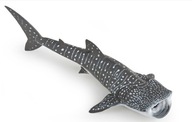 Zberateľská figúrka Žralok veľrybí, Papo